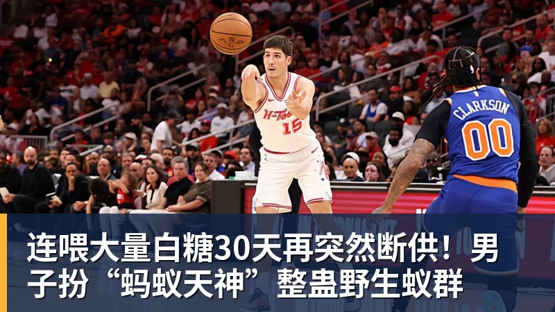 彩神v连喂大量白糖30天再突然断供！男子扮“蚂蚁天神”整蛊野生蚁群